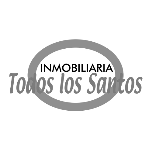 loaMesa de trabajo 15